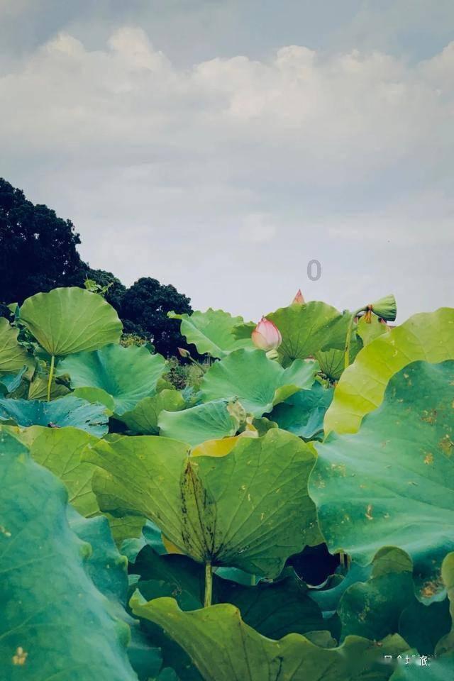 夏日课堂
